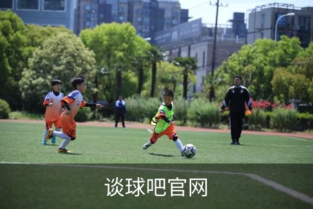 谈球吧官网公司介绍图片